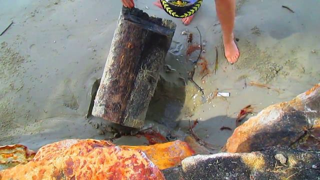 Тайланд о. Ко Чанг. ЛОВИМ КРАБА!!! Часть 1 смотреть онлайн