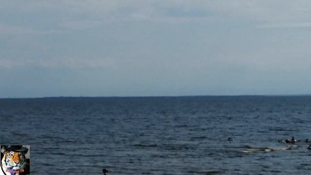 Санкт-Петербург. Выбрались на пляж. смотреть онлайн