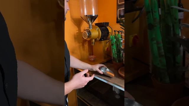 Kofe Kardamon ilə Bakida…Кофе с Кардамоном в Баку смотреть онлайн