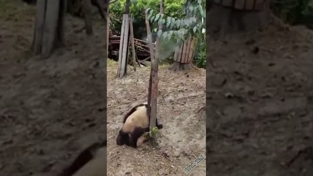 ой муж вернулся ребятам на фронт я там уже был и знаю каково это 2202 2003 4591 2586 сбер смотреть онлайн