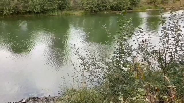 НЕ ЗАСТУДИ МОЗГИ НИНО! ПИРАТСКАЯ ЖИЗНЬ! смотреть онлайн