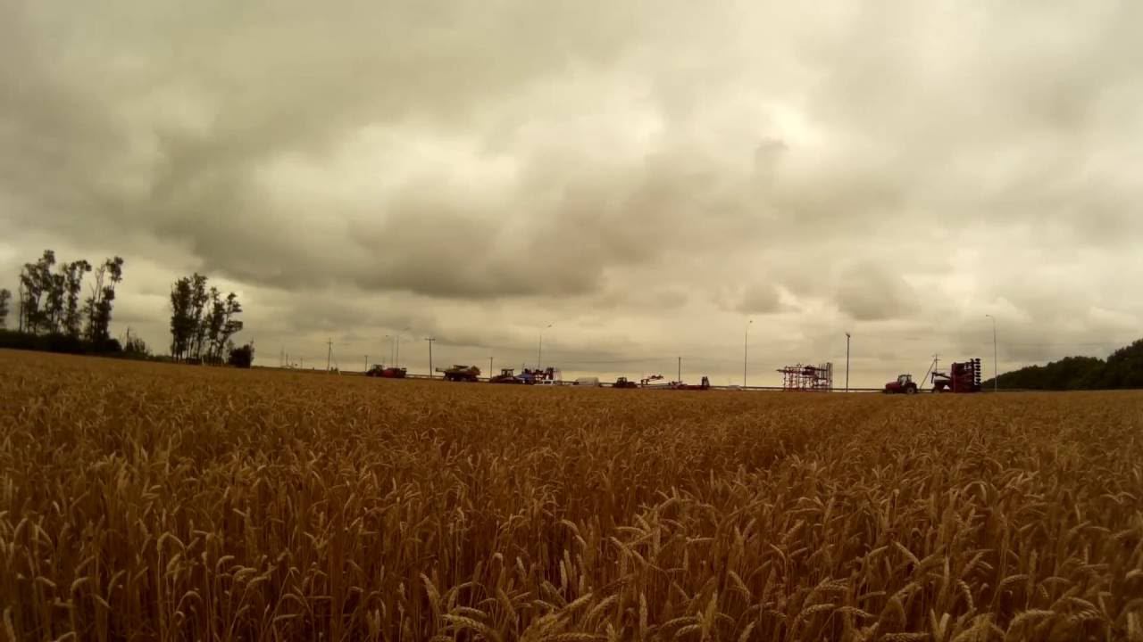 тест кругового  timelaps видео