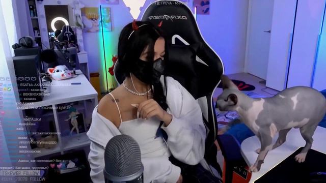 АМИНА СПАЛИЛА НОС НА СТРИМЕ😲 / ТЕНДЕРЛИБАЕ СПАЛИЛА НОС НА СТРИМЕ / СТРИМ АМИНЫ ТЕНДЕРЛИБАЕ смотреть онлайн