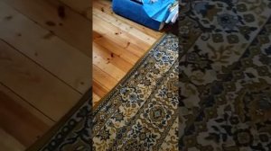 Всё про керамические обогреватели. Плюсы и минусы.