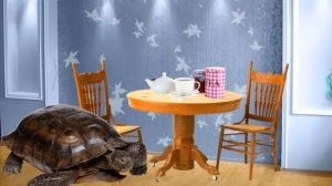 Чудесная Азбука. Буква Ч.