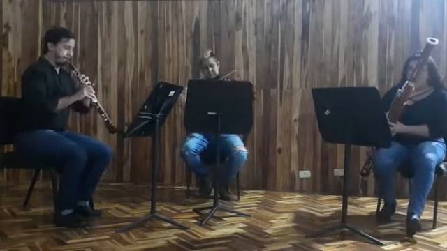 Divertimento: Viola, Oboe, Fagot, Michael Haydn menuetto смотреть онлайн