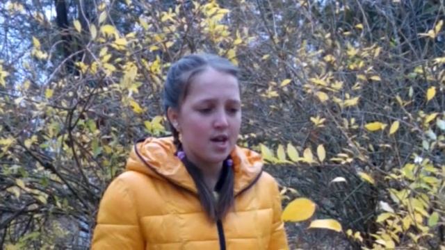 Иван Бунин "Листопад" смотреть онлайн