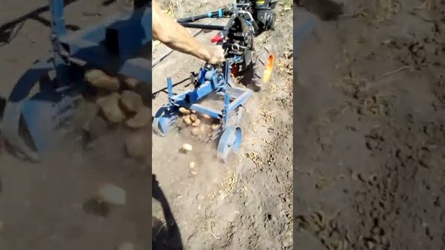 Урожай 2018 смотреть онлайн