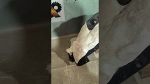 33142 Подкрылок передний левый Hyundai SantaFe 2020-