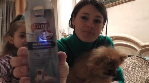 Зубной камень и неприятный запах изо рта у шпица.