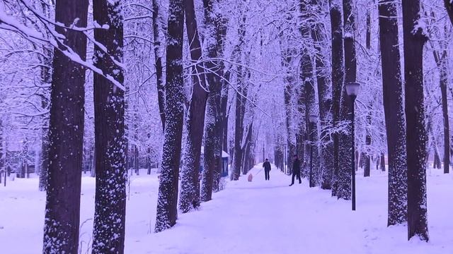 18 февраля 2014 г. Нижний Новгород, парк Кулибина. смотреть онлайн