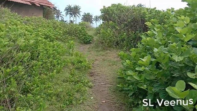 Travel Blue Beach | Blue Beach Guide | Beach Camping In Island Blue Beach Camping | blue flag beach смотреть онлайн