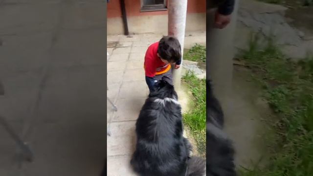 Аким и собачка ? смотреть онлайн