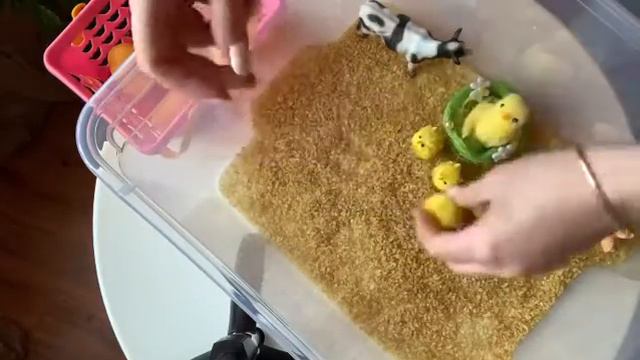 Игра на запуск речи «Куриные яички» смотреть онлайн