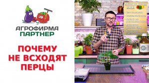 ПОЧЕМУ НЕ ВСХОДЯТ ПЕРЦЫ