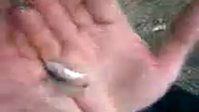 Зимняя рыбалка, бывает и так!!!!! смотреть онлайн