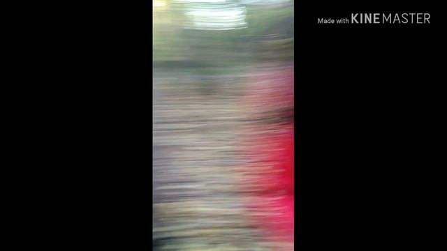 Вызов Слендера и Сплендера смотреть онлайн