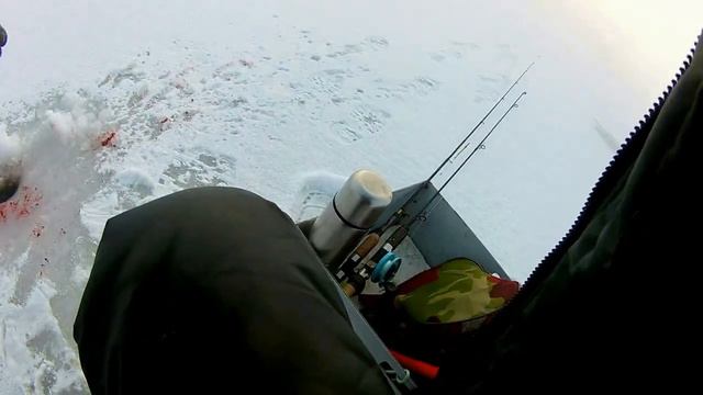 Рыбалка - Зимний карась -- 28. 01. 22. смотреть онлайн