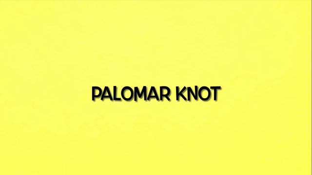 Топ 4 лучших рыболовных узлов для рыбалки о которых ты должен знать. Как привязать крючок к леске смотреть онлайн