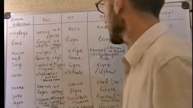 Лексическое поле ДИКИЕ ЖИВОТНЫЕ в латинском и романских языках смотреть онлайн