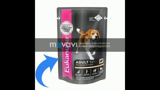 Что нужно для появления щенка в доме? Купим щенка! Что нужно для щенка? смотреть онлайн