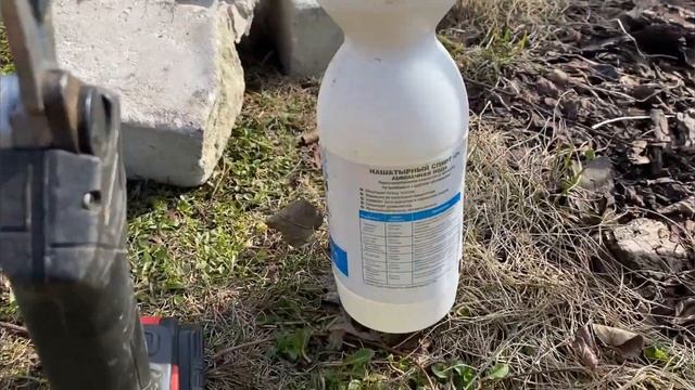 Штамбовые розы в Подмосковье. Зимуем без всяких горшков и переносов. смотреть онлайн