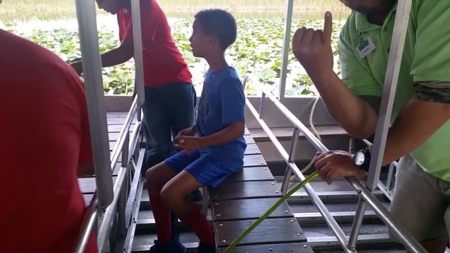 Everglades Holiday Park / Парк с аллигаторами Эверглейдс. Отдых в Майами. смотреть онлайн