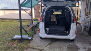 Корректор LED фар, ну и где же он? его де нет! Honda freed gb7