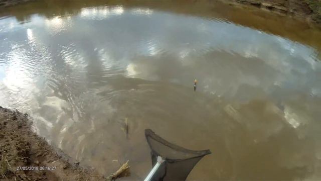 Голавль в проводку смотреть онлайн