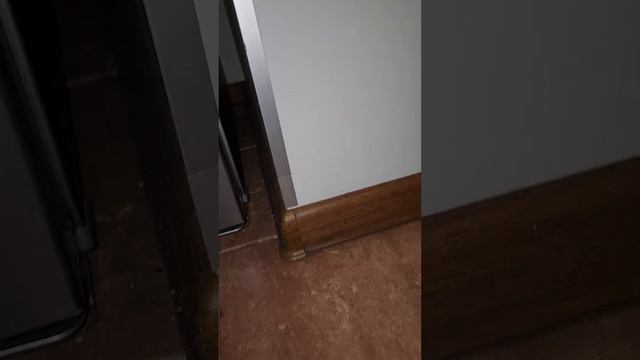 Чаузи Фёдор ,подвинуть холодильник