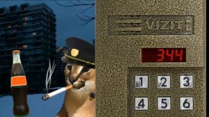 Твой домофон это:Думерские лица ШЛЁПЫ