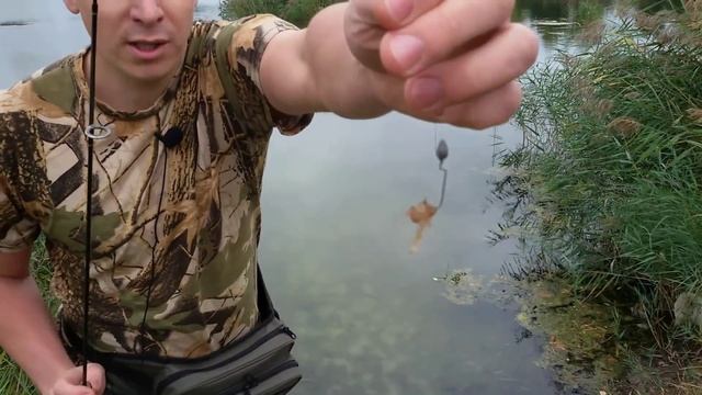 Тест приманок и аттрактант на самодельные приманки своими руками для рыбалки рыбацкие самоделки смотреть онлайн