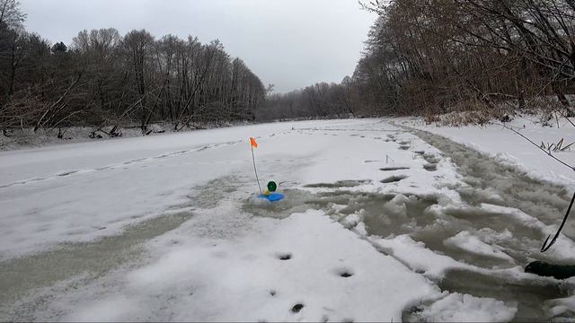 КАРАСЬ ИЛИ ПЛОТВА на ЩУКУ. Эксперимент с живцом. смотреть онлайн