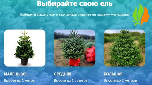 Новогодняя Датская елка. смотреть онлайн