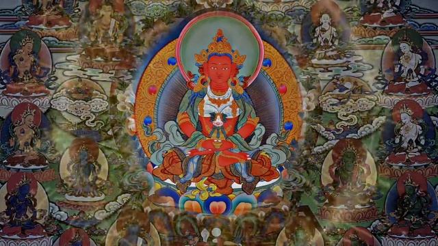 ☸Long Life Prayer(Amitayus Buddha) ཚེ་དཔག་མེ།|Buddhist Prayer For Long Life & Prosperity|Good Healt