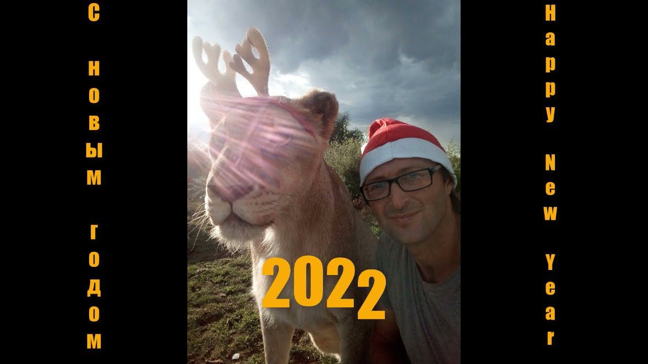 С Новым Годом! Желтые львы отмечают! 2022 смотреть онлайн
