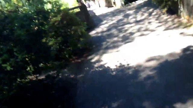 Cherry trees (rhododendron garden) смотреть онлайн