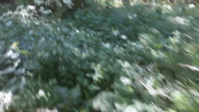 1 Час на копе с утра, заполняю прицеп смотреть онлайн