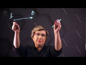 Понятие вектора. Коллинеарные вектора. 9 класс.