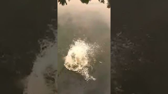 ПРЫГНУЛ С МОСТА В ОДЕЖДЕ смотреть онлайн