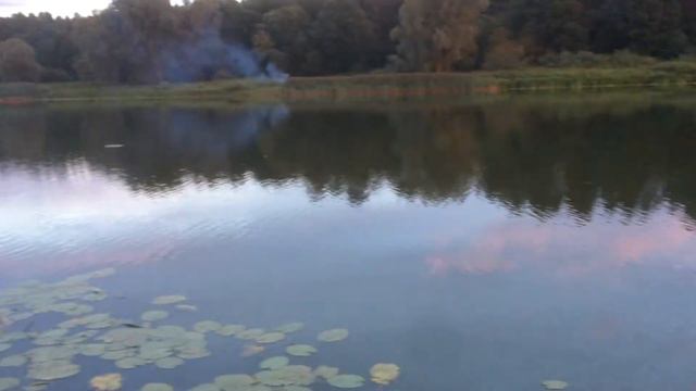 Летний вечер смотреть онлайн