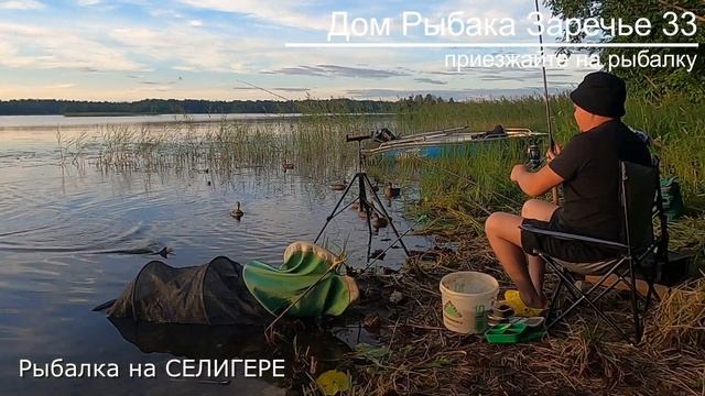 Рыбалка на СЕЛИГЕРЕ. Дом Рыбака Заречье 33. смотреть онлайн