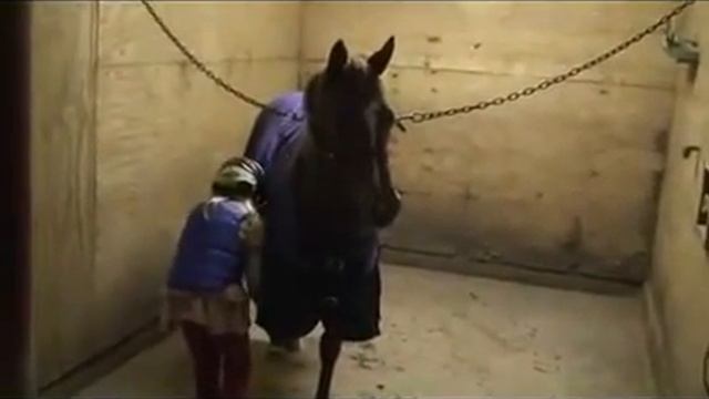 Ребенок ухаживает за лошадью смотреть онлайн