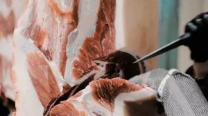 Полный цикл переработки свинины — шаг за шагом. Участок убоя и мясопереработки.