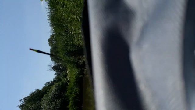 Как вырос кларевый сом за 20 дней в пруду смотреть онлайн