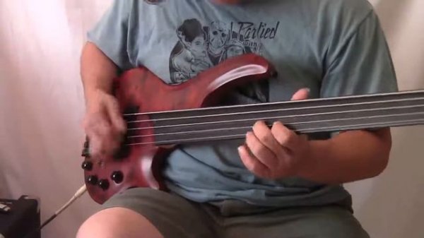 Cort Curbow Five String Fretless Bass & Looper pt 2
