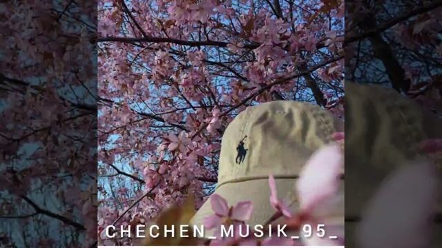 ЧЕЧЕНСКАЯ ПЕСНЯ ?? КАЗБЕК ЭЛЬМУРЗАЕВ ?? ЭТУ ПЕСНЯ ИШУТ ВСЕ 2020?? смотреть онлайн