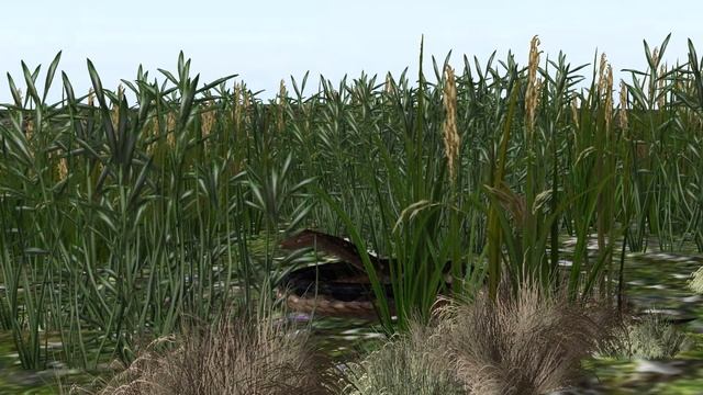 Snake Sound | Snake Noise | Snake Sound Effects | Wild Animals | Raptilia смотреть онлайн