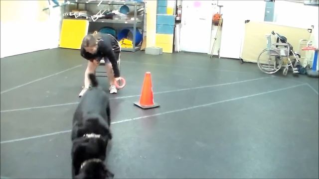 Daisy Ring Toss 04/04/17 смотреть онлайн