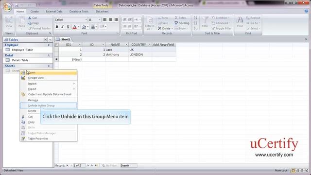 Assign a Password in Database and Show znd Hide Objects смотреть онлайн